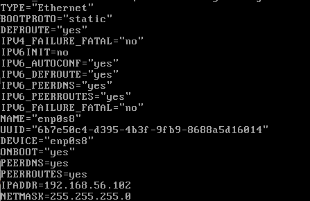 ifcfg-enp0s8